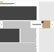 Image module